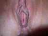 102-0296_IMG_resize.jpg (78614 bytes)