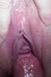 Hubby's Cock In Me 1.jpg (23438 bytes)