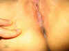 20041020-111133-9.jpg (40767 bytes)