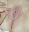 20041022-111427-1.jpg (36127 bytes)
