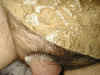 Judy0140.jpg (69987 bytes)