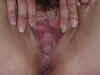dsc00448.jpg (46803 bytes)