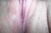 Her Creamy Pussy 01.JPG (18744 bytes)