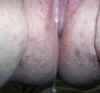 Her Creamy Pussy 12.JPG (29479 bytes)