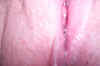 Her Creamy Pussy 15.JPG (17889 bytes)