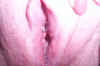 Her Creamy Pussy 18.JPG (18592 bytes)