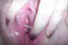 Her Creamy Pussy 22.JPG (20101 bytes)