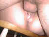 creampie13.jpg (23391 bytes)