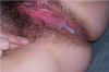 Creampie2.jpg (35200 bytes)