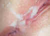 absolutekim_cuckoldcreampie_eat_0014.jpg (36615 bytes)