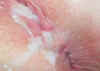 absolutekim_cuckoldcreampie_eat_0016.jpg (33436 bytes)