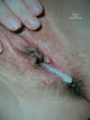 20050308-130077-1.jpg (36875 bytes)