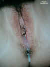 20050317-131363-7.jpg (32215 bytes)