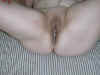 Img-0045.jpg (40746 bytes)