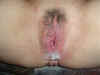 creampie11.jpg (36782 bytes)