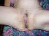 creampie7.jpg (38763 bytes)