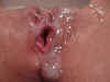 Creampie07.jpg (22039 bytes)