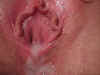 Creampie17.jpg (34127 bytes)