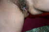 P0000681.jpg (55679 bytes)