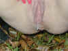 113725.jpg (38390 bytes)