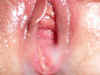 07070153.jpg (38449 bytes)