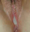 An-Extreme-Close-Up.jpg (72622 bytes)