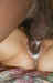 marc1zupuscumnf.jpg (51009 bytes)