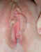 absolutekimcom_010.jpg (78034 bytes)