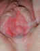 absolutekimcom_012.jpg (73738 bytes)