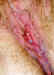 bevcpi21.jpg (80726 bytes)