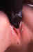 creampie207.jpg (74701 bytes)
