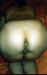 In_me_have_terminated.jpg (43103 bytes)