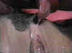 eatpie.jpg (12727 bytes)