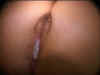 Impregnate_My_Whore_Wife_10.jpg (41109 bytes)