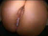 Impregnate_My_Whore_Wife_13.jpg (42230 bytes)