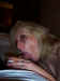 AApro-suck2.jpg (72714 bytes)