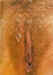 00D0A0Q0.jpg (55556 bytes)
