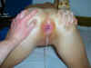 20040622-93927-9.jpg (31893 bytes)