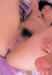 azisai20.jpg (79356 bytes)