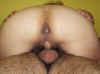 09 anal pie after dp.JPG (54835 bytes)