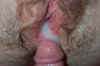 Dcp_0781.jpg (78699 bytes)