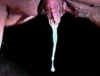 Drip5.jpg (20701 bytes)