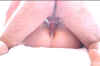 Xxx032.jpg (28257 bytes)