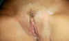 12745_n4.jpg (39664 bytes)