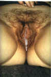 C-Creampie061.jpg (45627 bytes)
