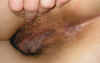 10663_c.jpg (52253 bytes)
