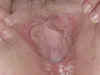 Picture 045tam.jpg (60499 bytes)