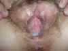 20040204163534.jpg (54773 bytes)