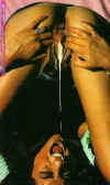 Drip1A.jpg (47957 bytes)