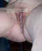 creamed-06.jpg (50178 bytes)